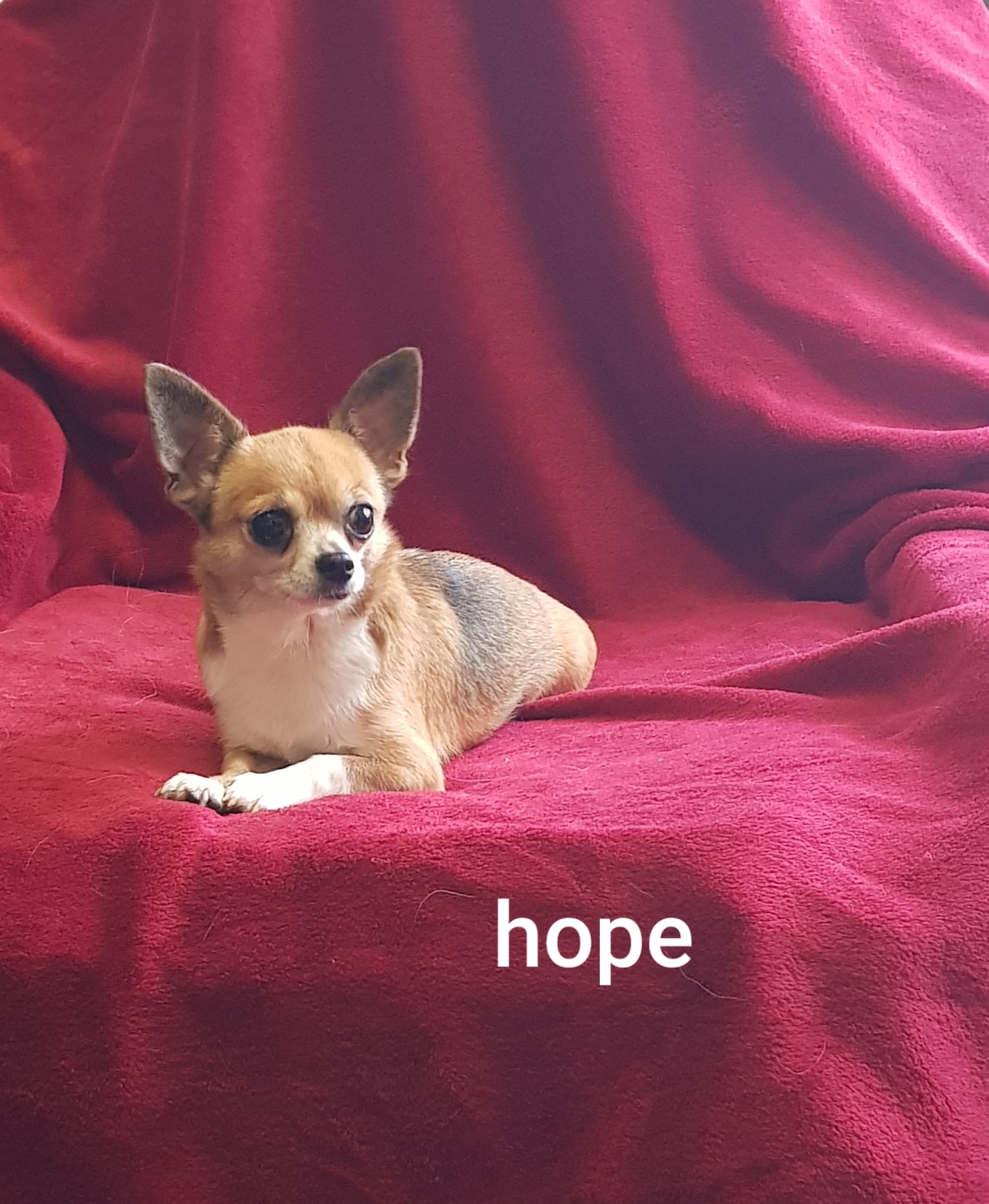 hope